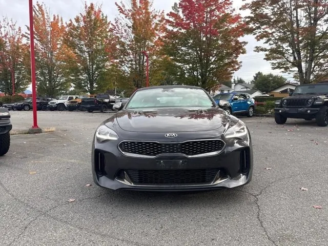 Kia Stinger 2019 photo 2