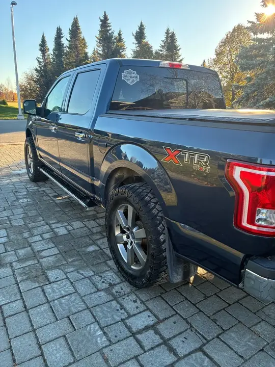 Ford F-150 2015 photo 2