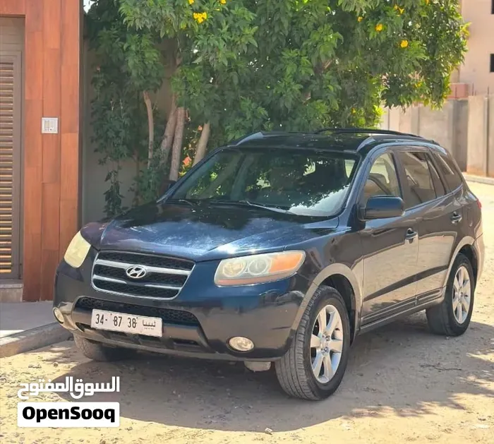 Hyundai Santa Fe 2009 photo 3