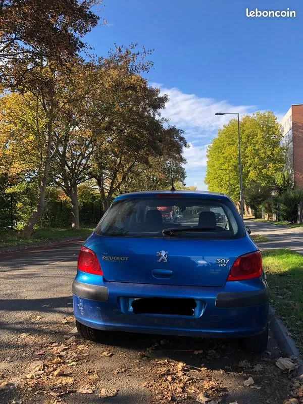 Peugeot 307 2001 photo 2