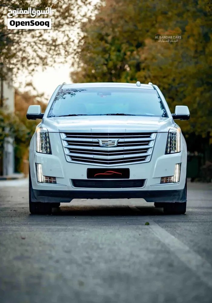 Cadillac Escalade 2016 photo 5