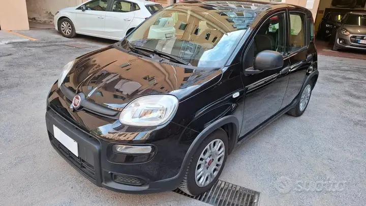 Fiat Panda 2023 photo 2
