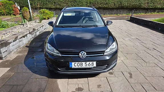 Volkswagen Golf Vii 2016 photo 5