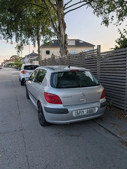 Peugeot 307 2002 photo 2