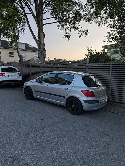 Peugeot 307 2002 photo 3