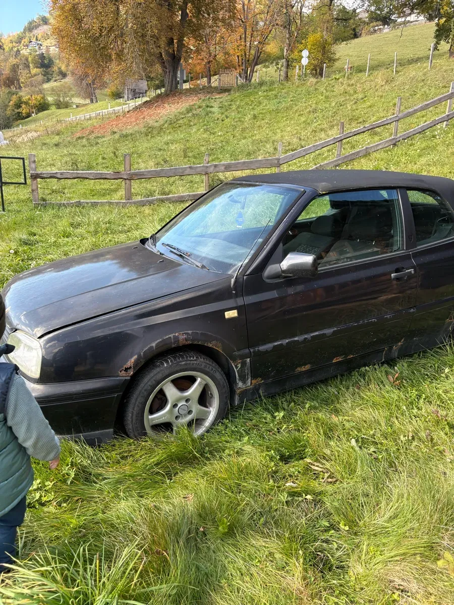 Volkswagen Golf 1993 photo 3