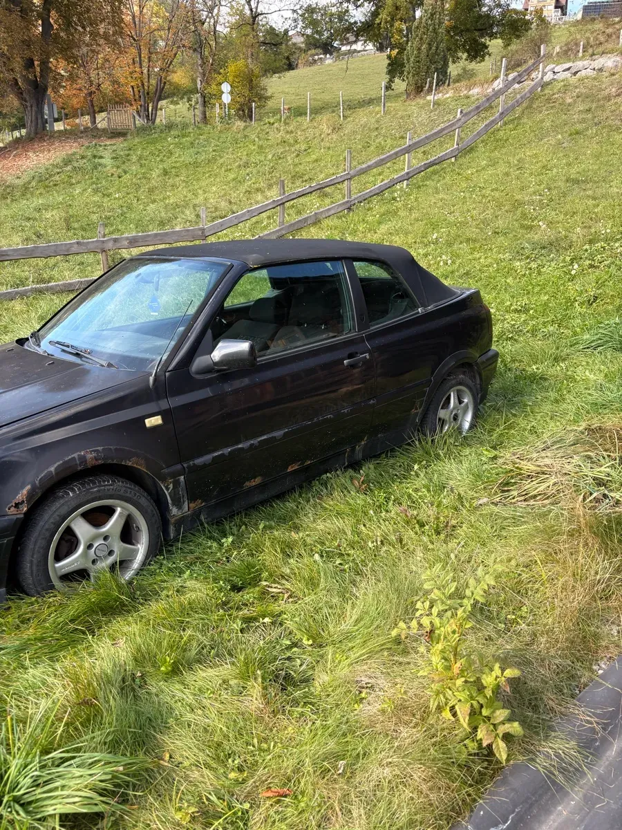 Volkswagen Golf 1993 photo 2