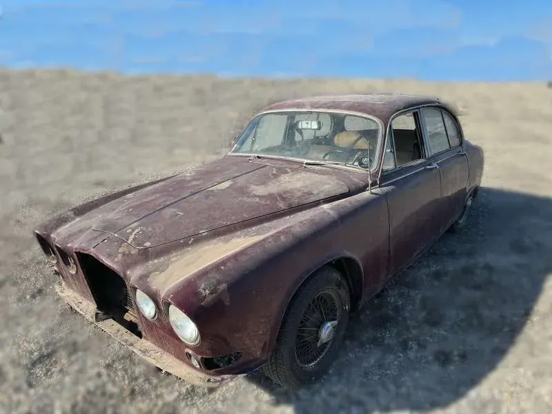 Jaguar Sonstige