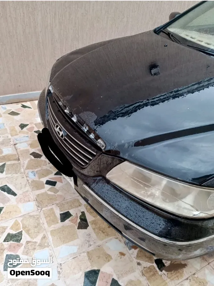 Hyundai Azera 2008 photo 3