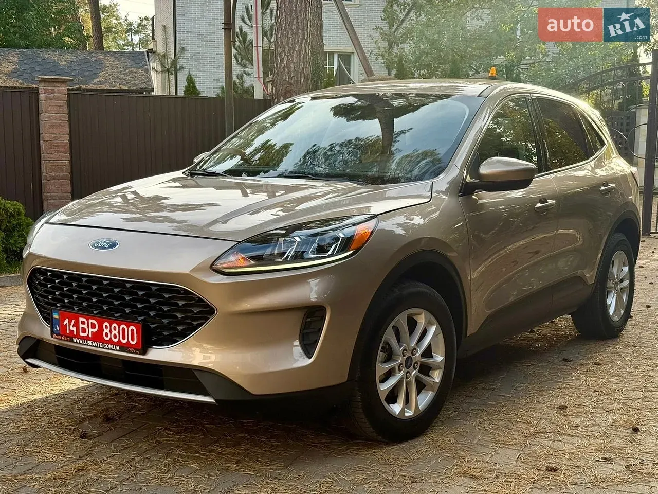 Ford Escape 2020 photo 2
