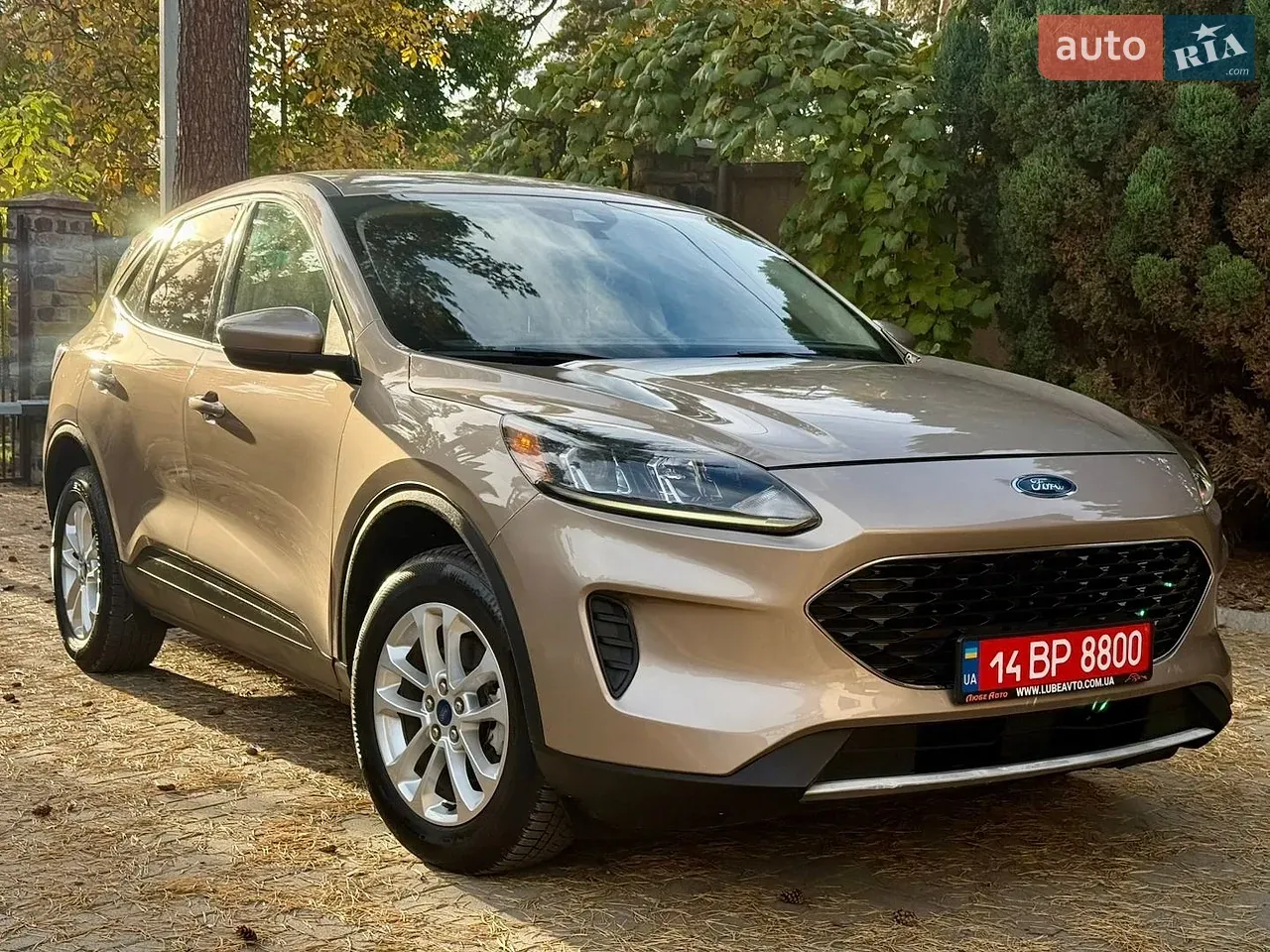 Ford Escape