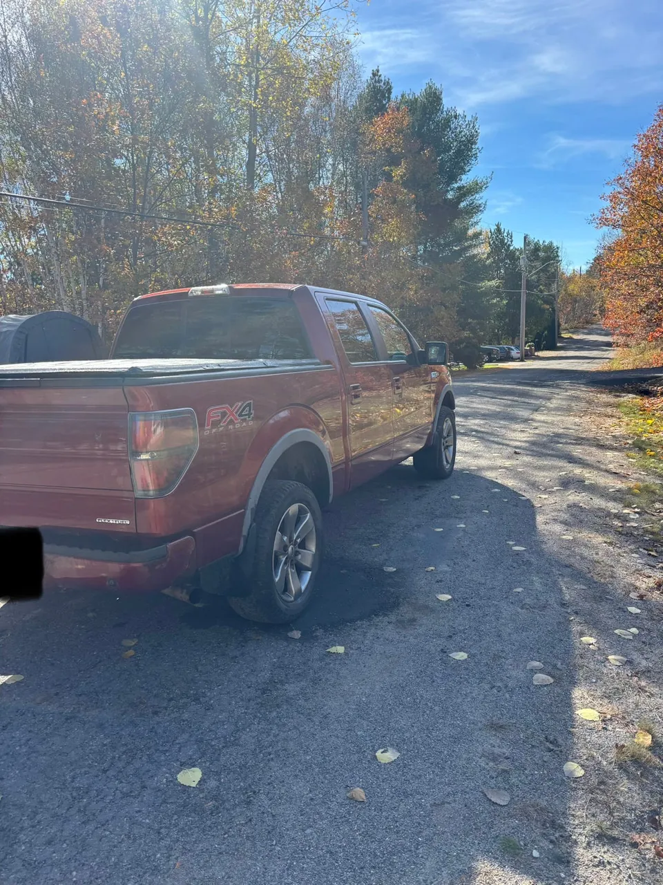Ford F-150 2014 photo 4