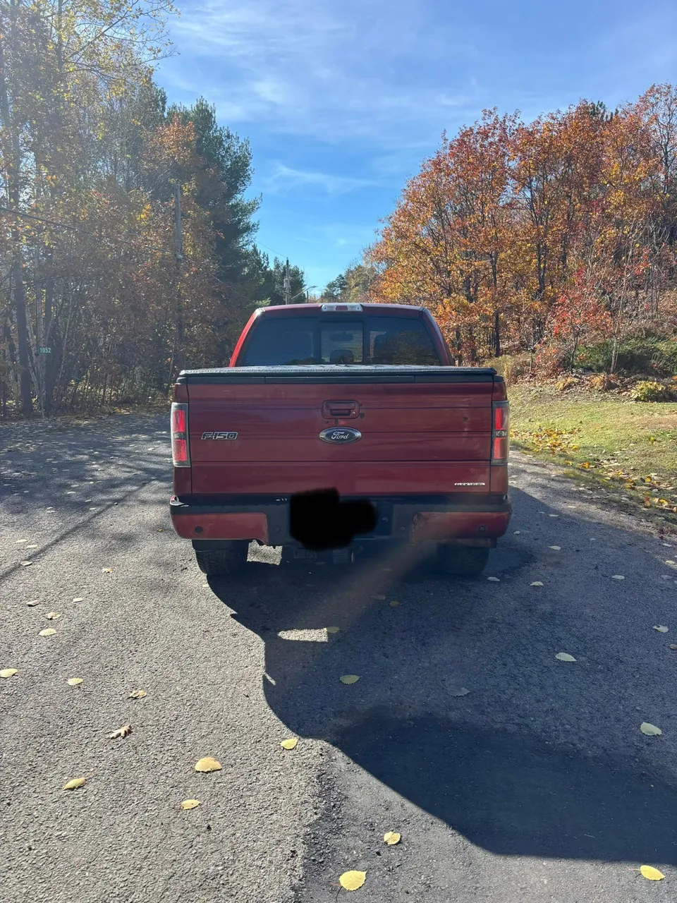Ford F-150 2014 photo 5