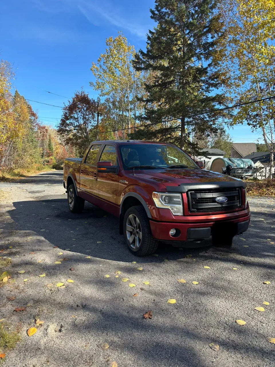 Ford F-150 2014 photo 3
