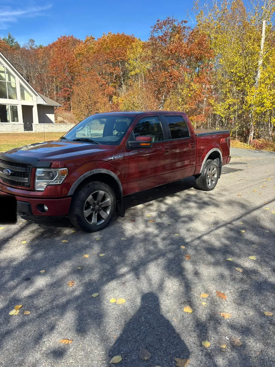 Ford F-150 2014 photo 2
