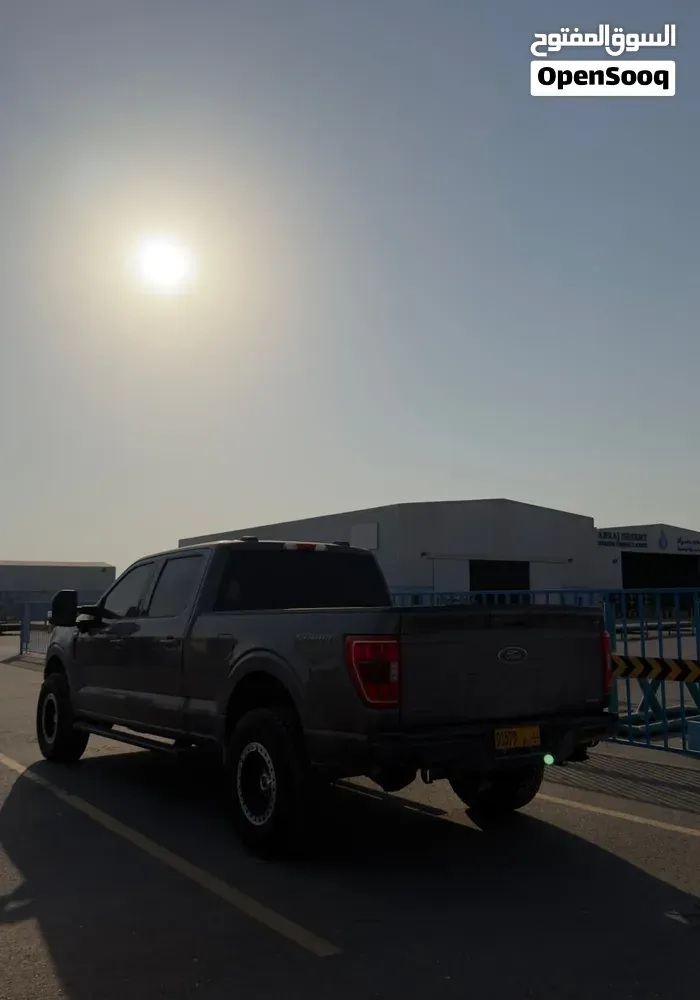 Ford F-150 2021 photo 3