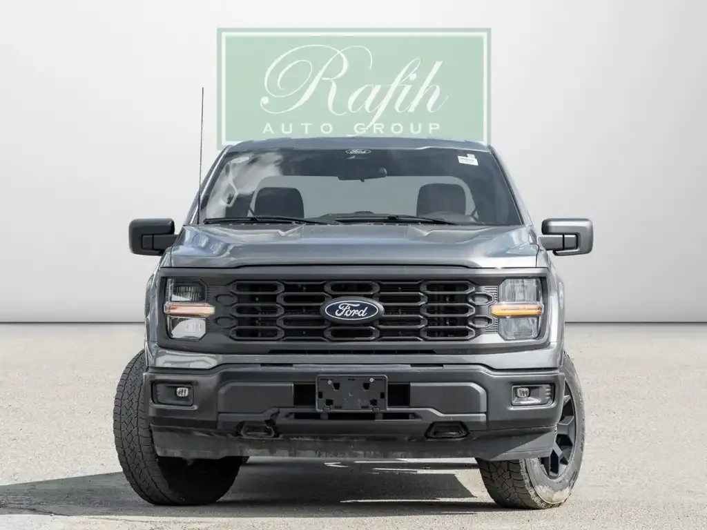 Ford F-150 2024 photo 3