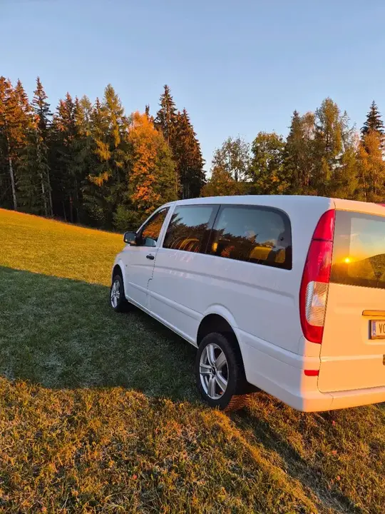 Mercedes-Benz Vito 2013 photo 3