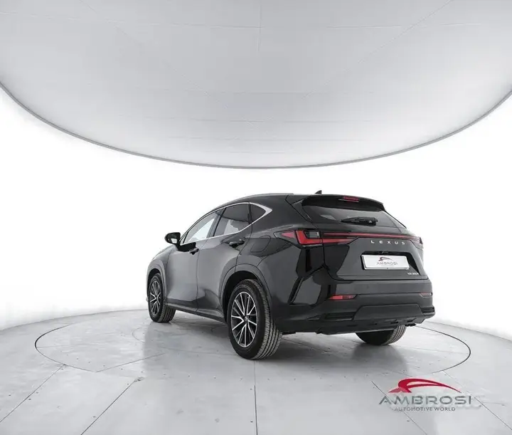 Lexus Nx 2022 photo 4