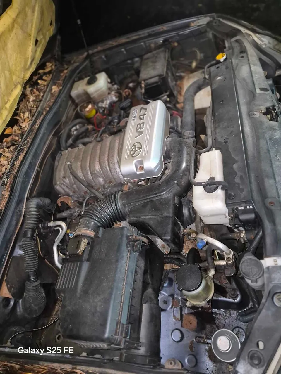 Toyota 4Runner 2003 photo 3