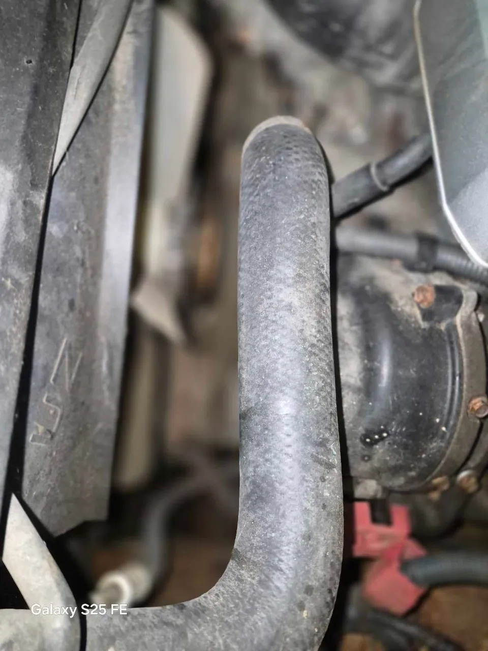 Toyota 4Runner 2003 photo 4