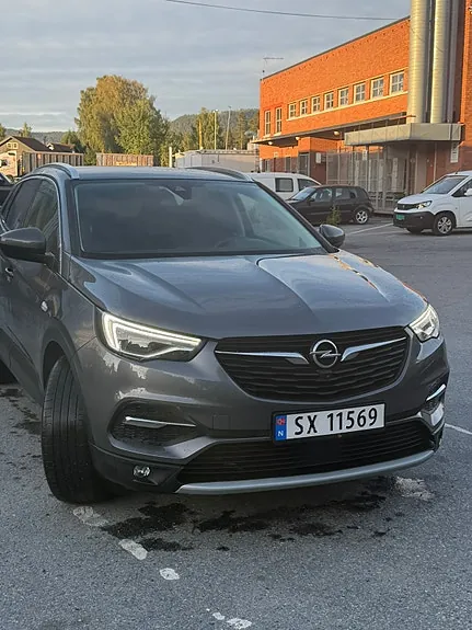 Opel Grandland X 2019 photo 5