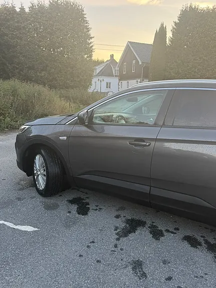 Opel Grandland X 2019 photo 2