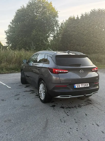 Opel Grandland X 2019 photo 3