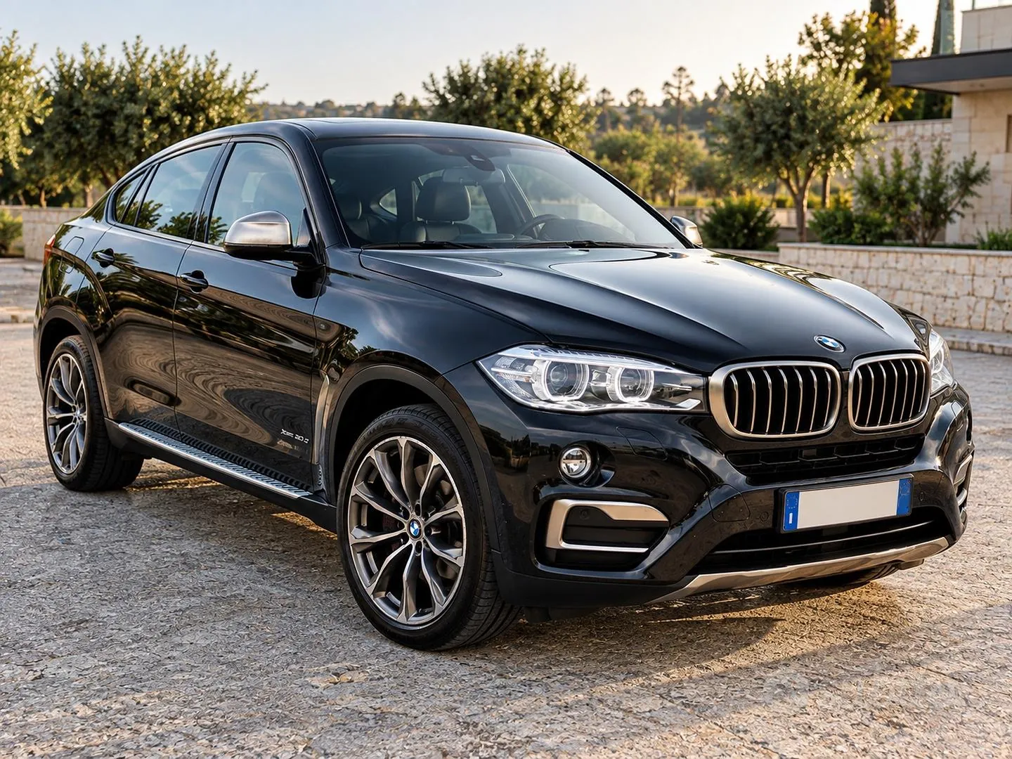 BMW X6