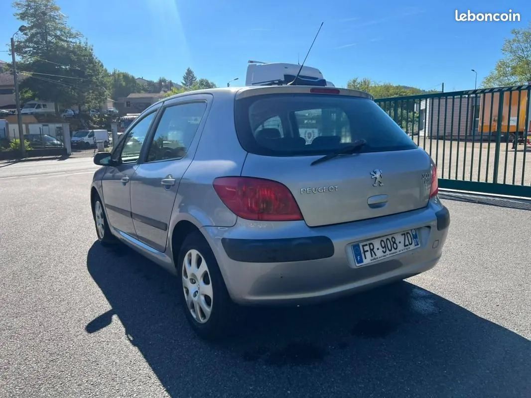Peugeot 307 2004 photo 4