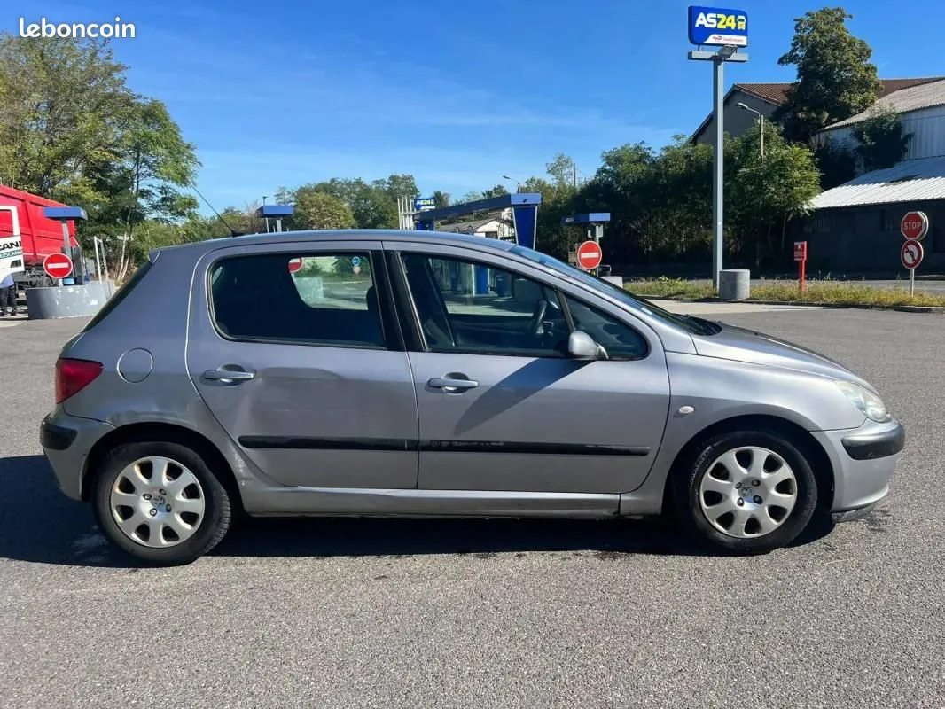 Peugeot 307 2004 photo 3