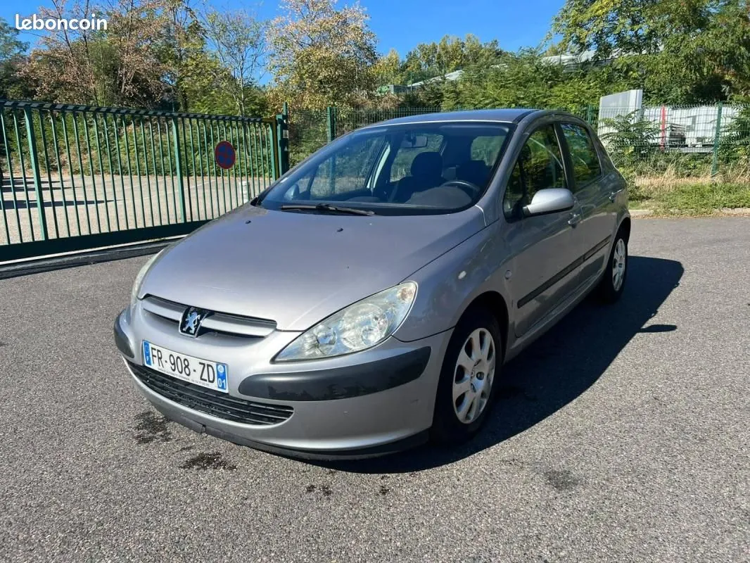 Peugeot 307 2004 photo 5