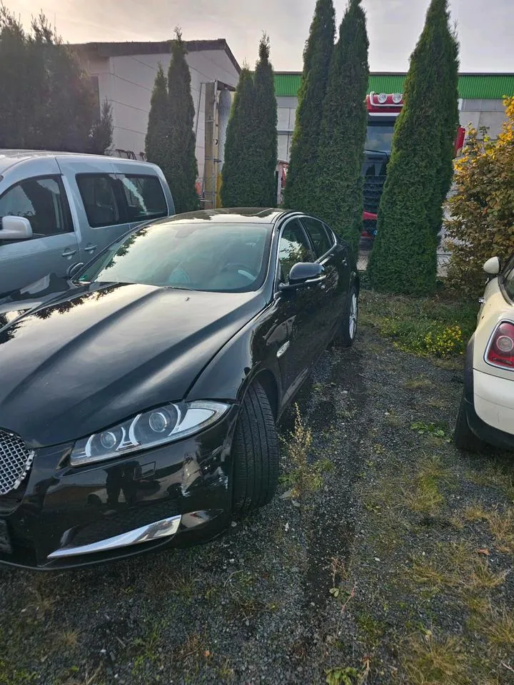 Jaguar Xf