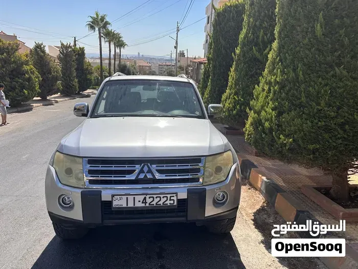 Mitsubishi Pajero 2009 photo 5
