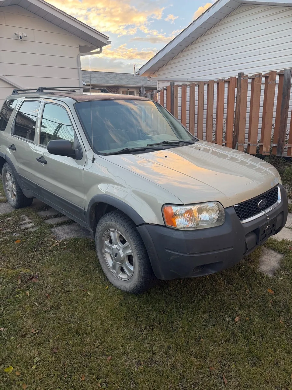 Ford Escape