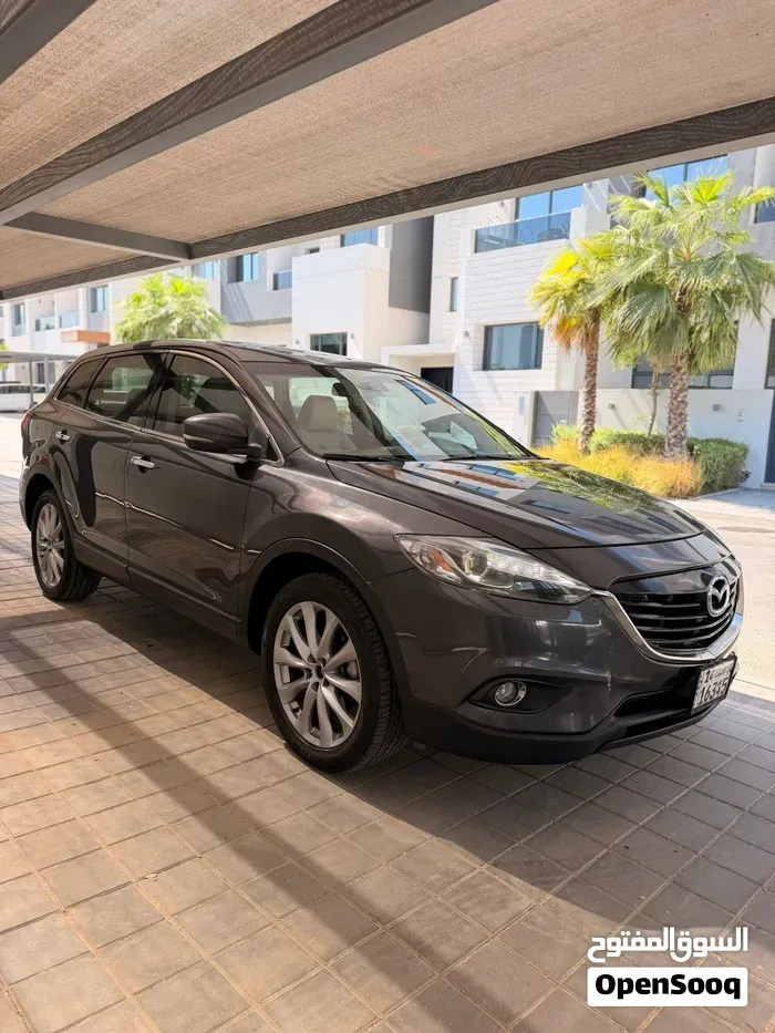 Mazda Cx-9 2015 photo 2
