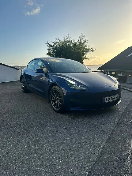 Tesla Model 3 2021 photo 4
