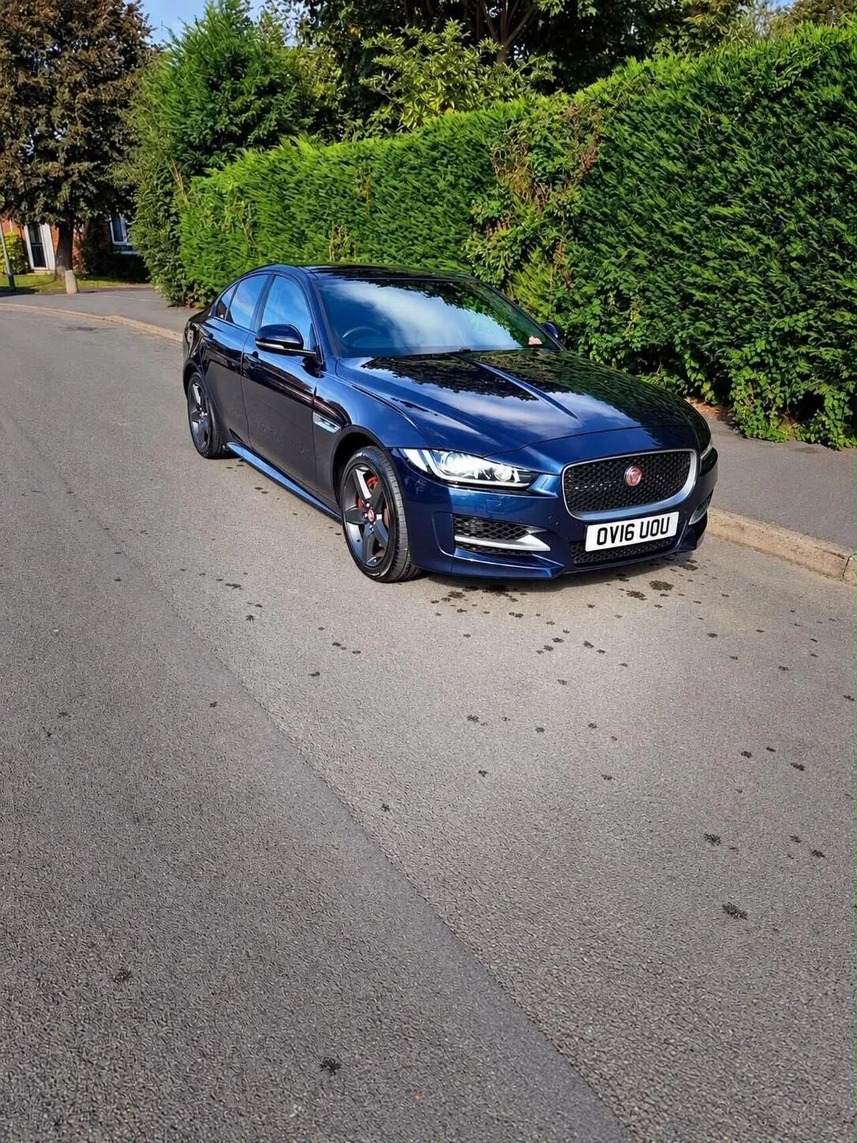 Jaguar Xe 2016 photo 3