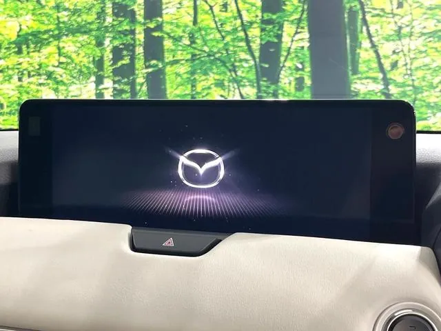 Mazda Cx-60 2022 photo 4