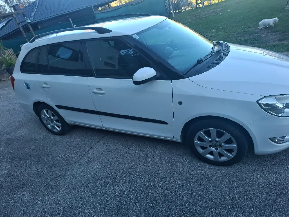 Skoda Fabia 2011 photo 2