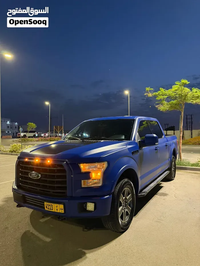 Ford F-150 2015 photo 2