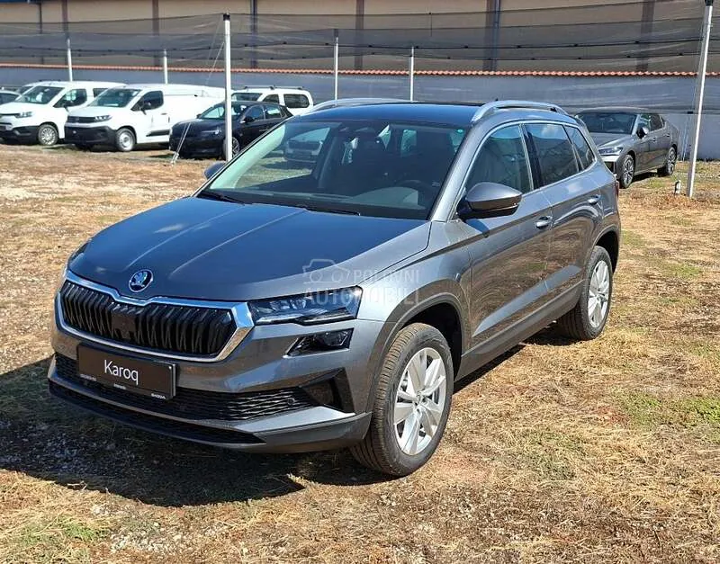 Skoda Karoq 2026 photo 3