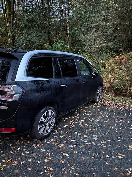 Citroen C4 Picasso 2017 photo 2