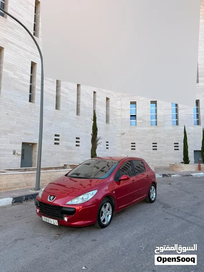 Peugeot 307 2006 photo 4