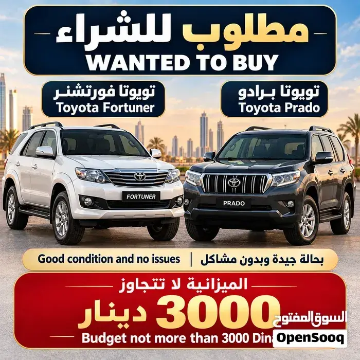 Toyota 4Runner 2010 photo 2