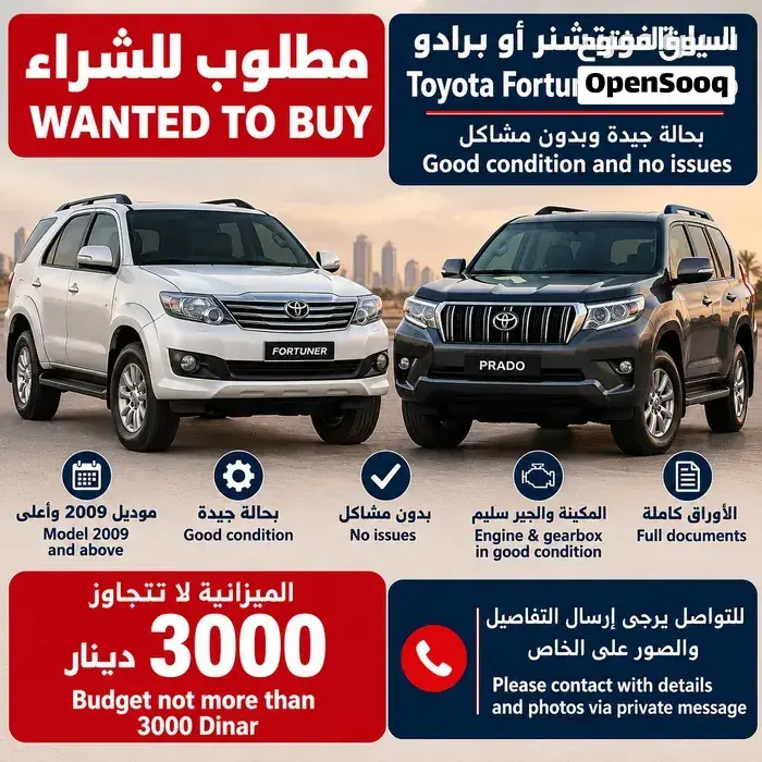 Toyota 4Runner 2010 photo 3