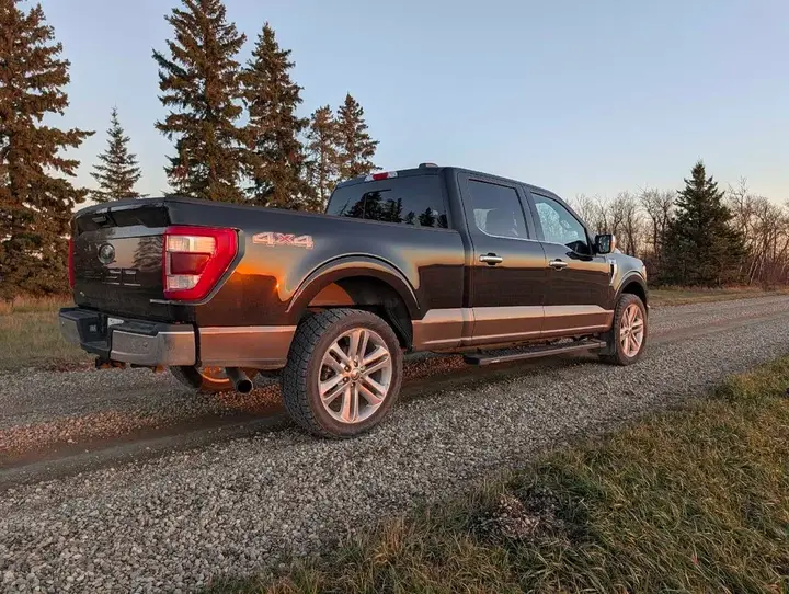 Ford F-150 2021 photo 5