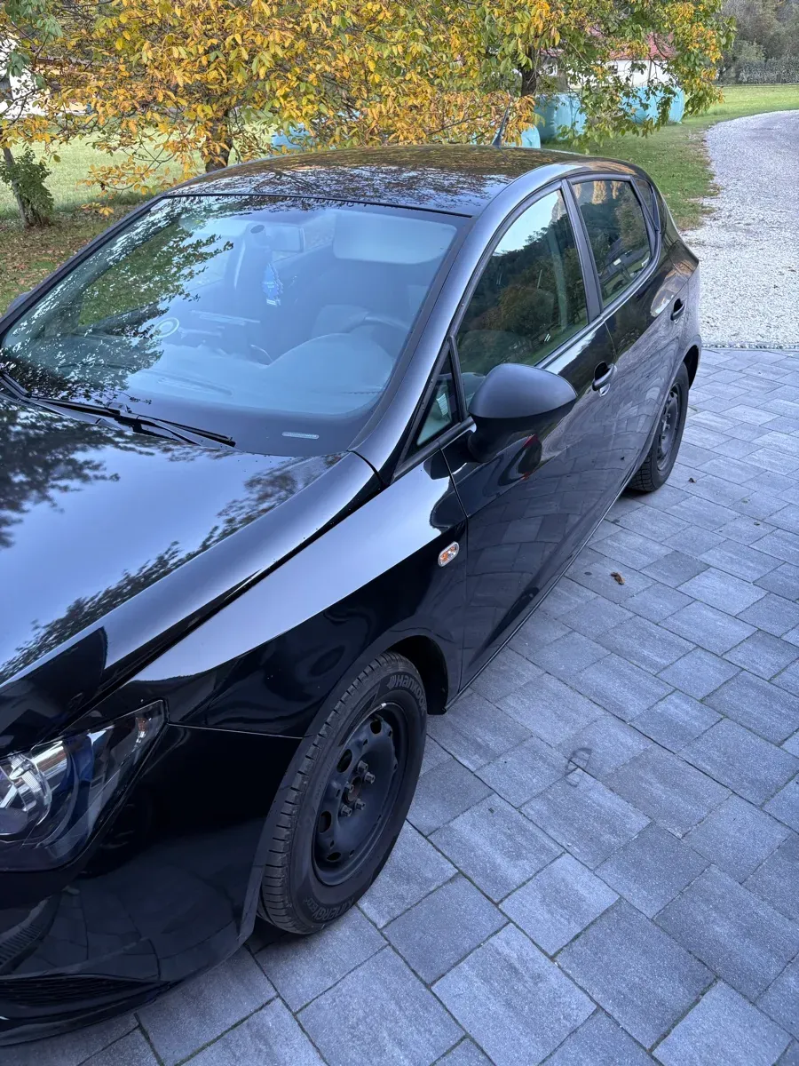 Seat Ibiza 2015 photo 2