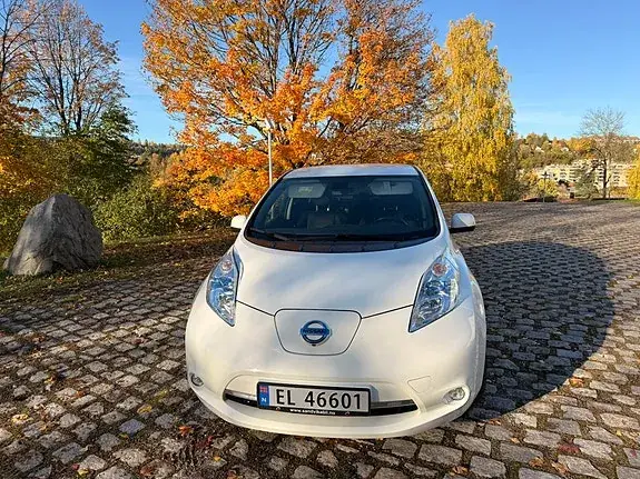 Nissan Leaf 2014 photo 2