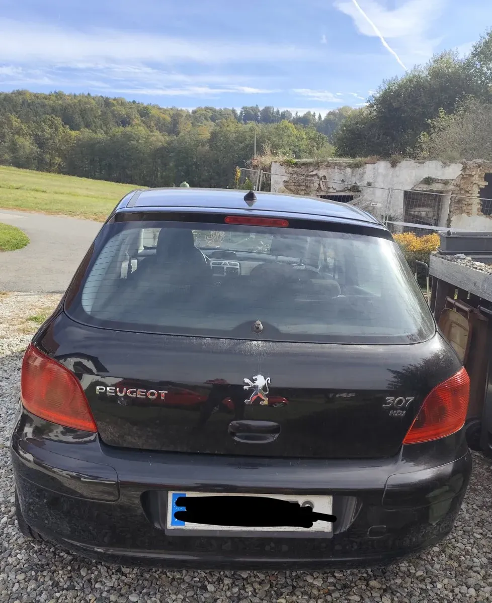 Peugeot 307 2005 photo 2